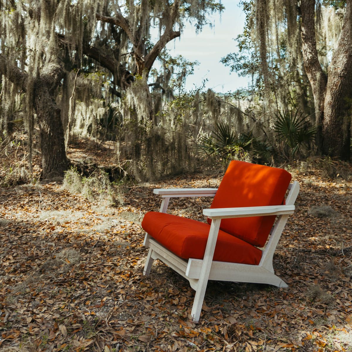 Lone terracotta and seashell bourbon chair on leaves under mossy trees.